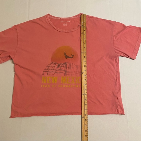 American Eagle Sz XL Cropped New Mexico Graphic T-Shirt - Picture 3 of 5